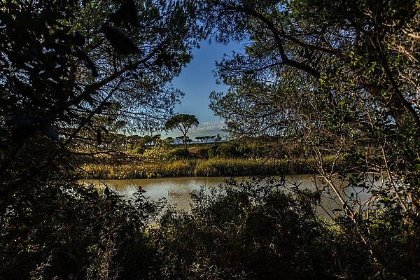 Camping Village IL Sole