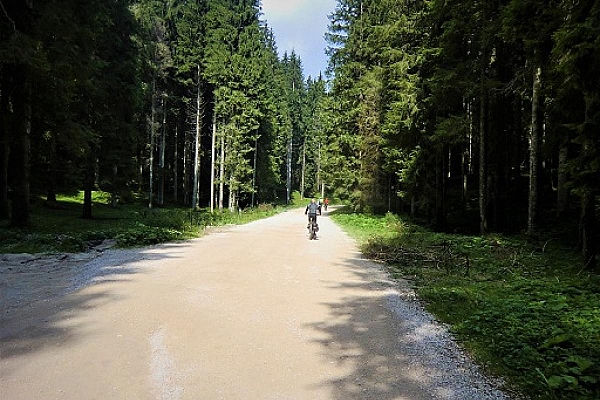 Pista ciclabile del vecchio trenino da Asiago a Campiello