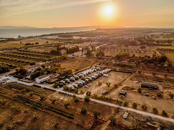 AGRICOCCINELLA