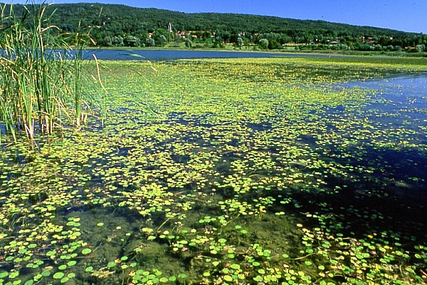 Pista ciclabile del Lago di Varese