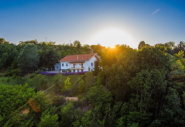 Guest House Ferri e Zani