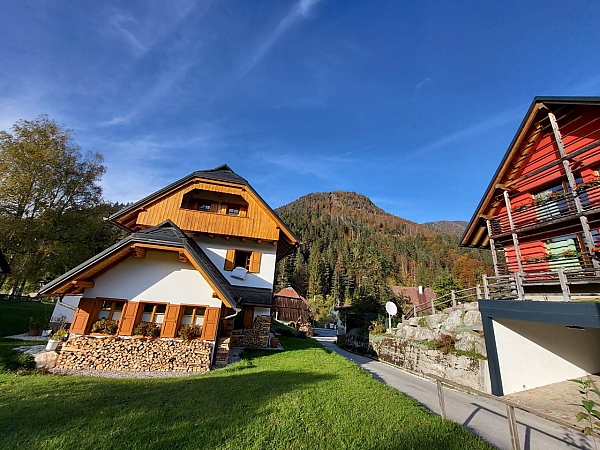 Associazione La Tana dell'Orso APS