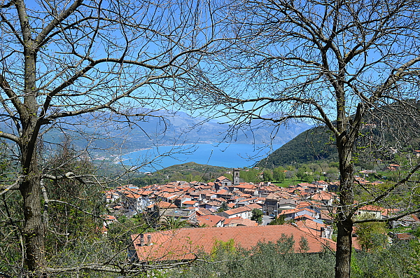 La Pergola