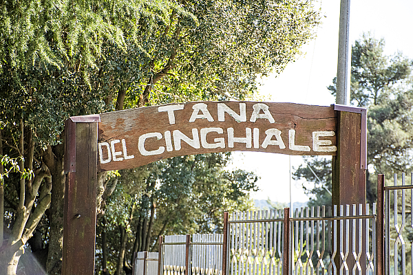 La Tana del Cinghiale